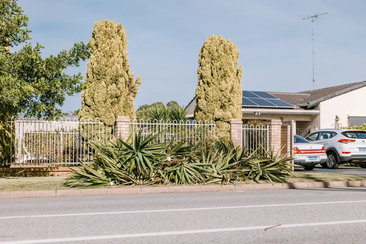 Cut green plant waste piled on a suburban verge in front of a house